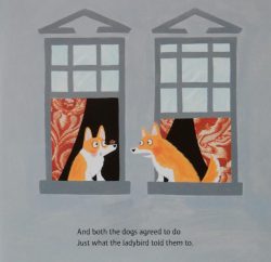 corgi_book