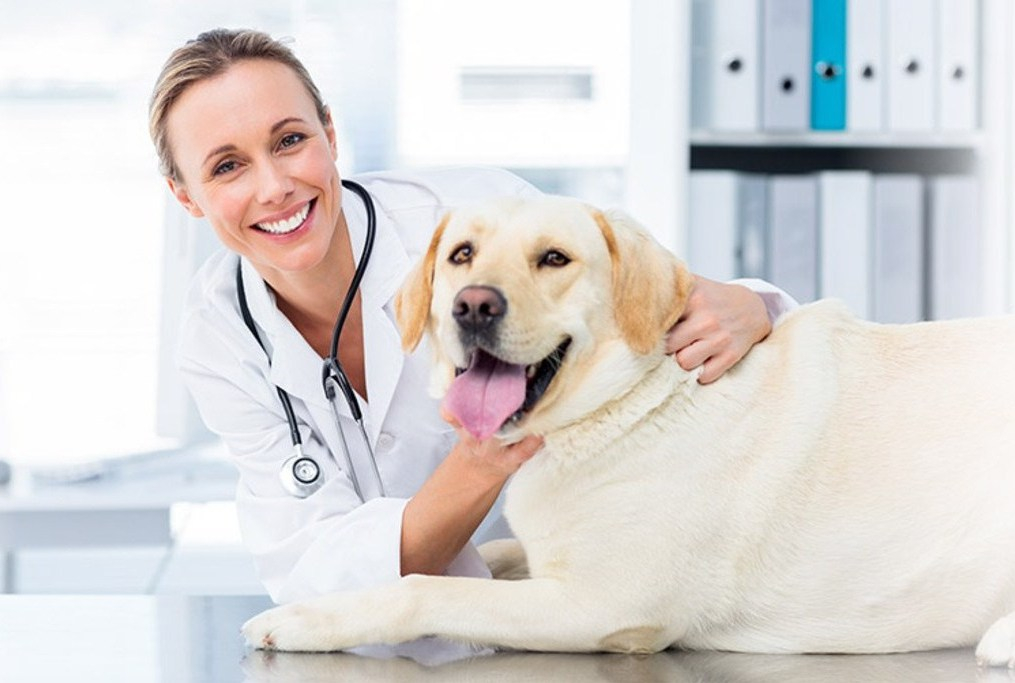 small_information_items_153