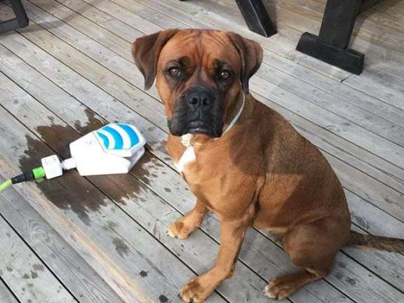 tmg-article_tall (4).jpg